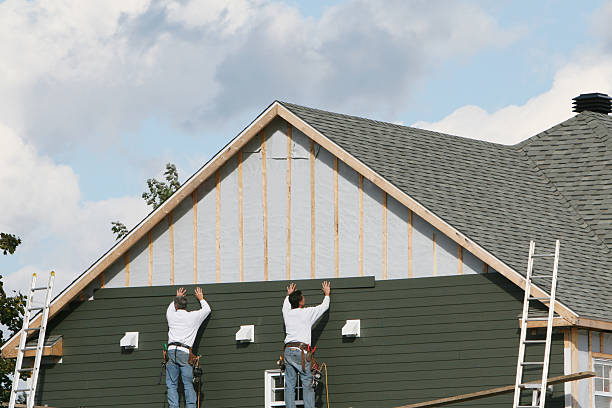 Best Siding Painting and Refinishing  in La Feria, TX